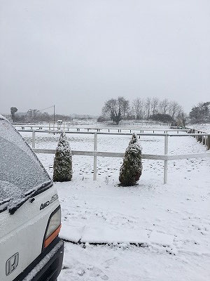 乗馬クラブの雪