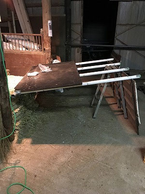 自作馬運車