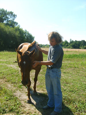 Mieux se connaitre par la relation avec le cheval.