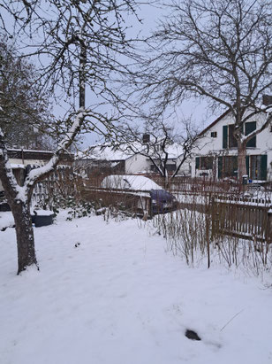 Rapperszell