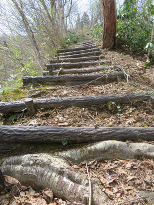 ここから登山道。目のくらむような急登。