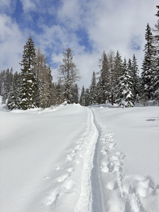 Alter Almweg, Skitour, Tauplitz, Tauplitzalm, Steiermark, Berge, Ausseerland