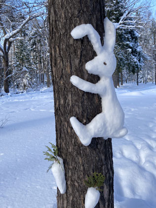 昨年冬から円山公園に現れる可愛いミニ雪像。散歩の度に癒やされます♪