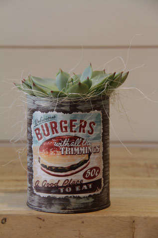 burges burger dose büchse sukkelente pflanze