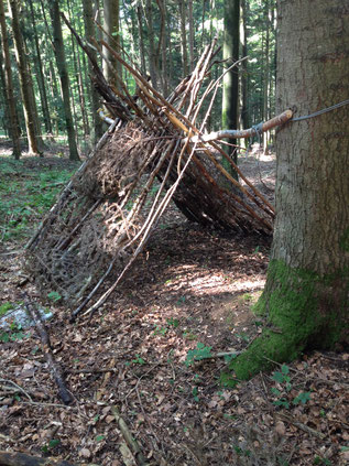 Asthütte im Wald, Foto Kyra Stolp