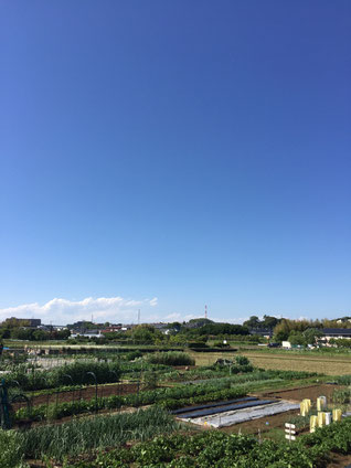 横浜市で農地（田・畑）を相続した時は、農地法第３条の３第１項の届出を農業委員会にする必要があります