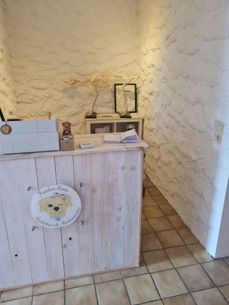 Physiotherapie für Hunde 