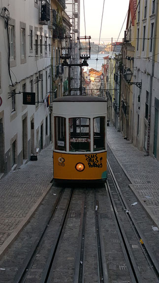 Bild: Lissabon Straßenbahn