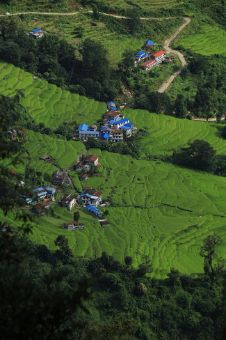 Ride terrace, Nepal, Poon Hill, Trekking in the Himalayas, Trekking Tour