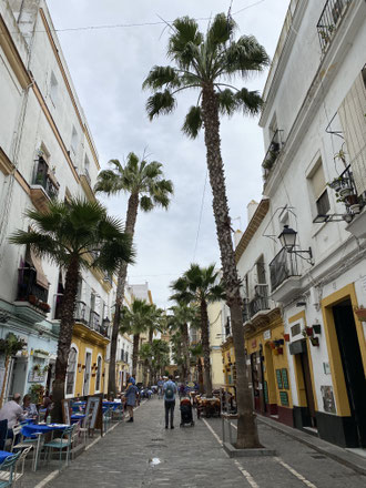 barrio storico di Cadice con locali colorati ai lati e palme al centro