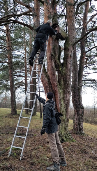 Foto: NABU/I.Bücker