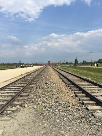 Birkenau, Gleise