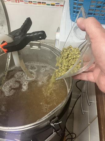 Hopfenkochen