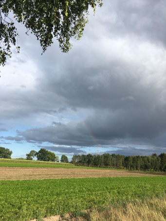Ein Feld am Rande eines Waldes, dunkle und helle Wolken, darauf ein Regenbogen