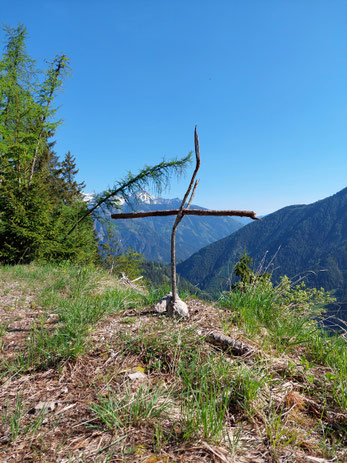 Schafferkogel, Schafferreith, Bärenalm, Zamseggerreith, Wandern, Oberösterreich, Pyhrn Priel