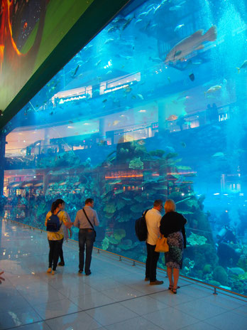 Dubai Mall Aquarium