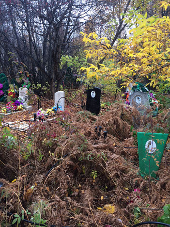 イルクーツク、雑木林の中の写真が刻まれた墓地。ここからほど遠くない林の奥に日本人墓地があったが、掘り返した墓石の跡のくぼみと慰霊塔だけがあった。
