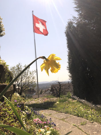 Man beachte, der Wind hat gedreht.