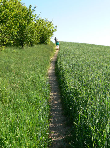 Weg der Gesundheit