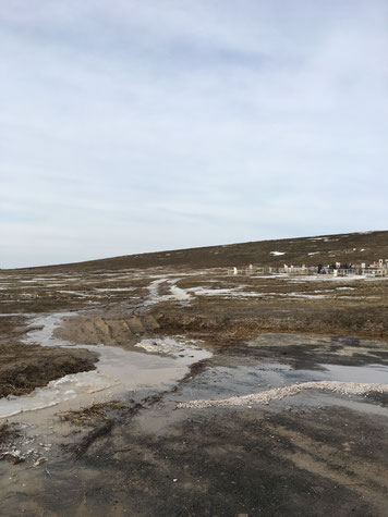 高麗人（コリョサラム）墓地。1937年、コリョサラム強制移住されこの場所に降り立った。サラムとは韓国語で「人」の意味。