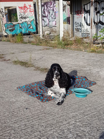 Warten auf den nächsten Einsatz, Foto: Svenja Arendt