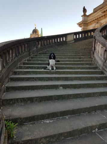 Ob Zelda irgendwann eine Showtreppe hinunterlaufen wird? Foto: Svenja Arendt