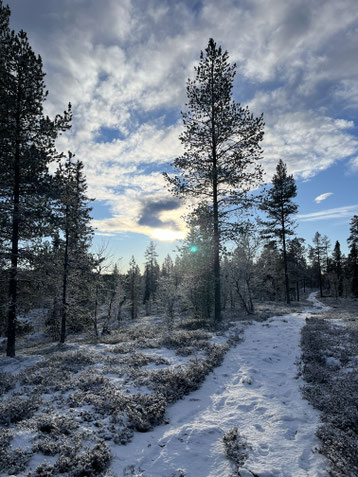 Path to Røsjøen
