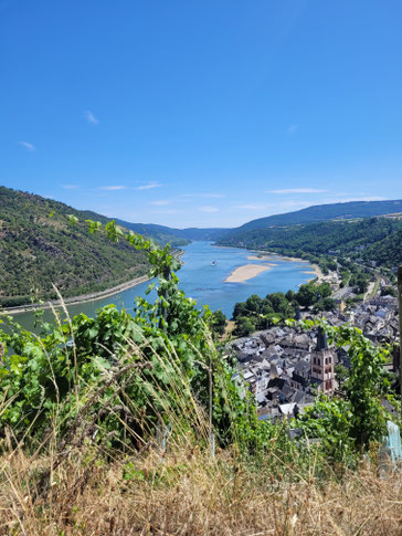 Rheinpanorama hoch über den Dächern von Bacharach in den Weinbergen
