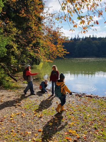 Es gibt im Herbstwald viel zu entdecken. Foto: Dr. Lena Heuß