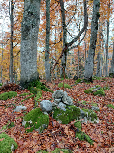 Öttlberg, Öttlreith, Ameiskogel, Schiederweiher, Untere Salmeralm, Polsterlucke, Hinterstoder