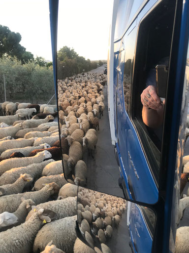 Stau in La Zubia/Spanien ©Robert Fischer