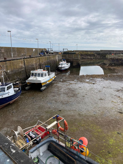 Saint Abbs bei Ebbe. Bei Flut steht das Wasser 5-6 Meter höher