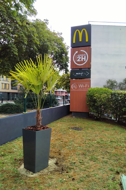 intervention express pour un fast food