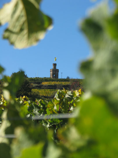 Zum Dürkheimer "Kaffeemühlchen", dem Falggenturm, führt einer unserer Wandervorschläge zum Kennenlernen der Urlaubsregion. Foto: Klaus Kochendörfer
