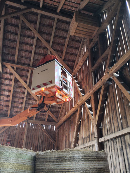 Mit Hubsteiger der Stadt zum Kasten Foto: NABU/I.Bücker