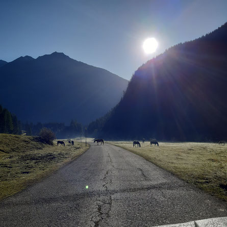 Get Zu wissen wann man loslassen soll Desktop Wallpaper Zu Wissen Wann Man Loslassen Soll