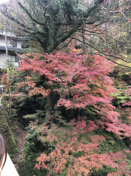 いつの日かの石川県の紅葉