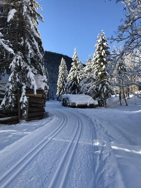 Wintersportversicherung und Skiversicherung für den sicheren Skiurlaub in den Bergen im Versicherungsvergleich