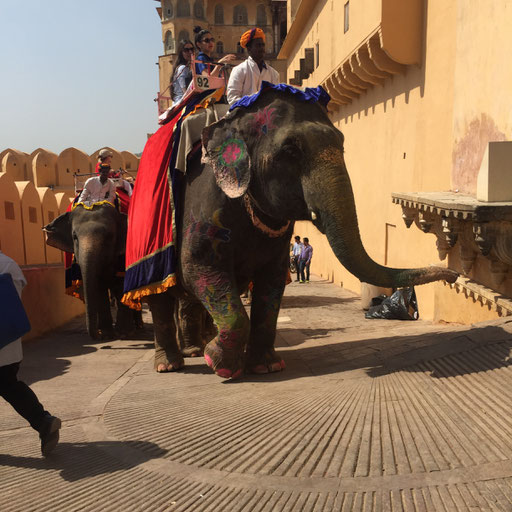 Private Textile Group Tours around Rajasthan for 6 - 15 people Jaipur Amber Fort