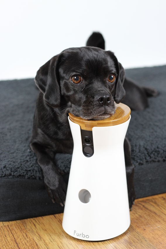 [Anzeige] Unter Beobachtung! Ernährungsberatung Hund &amp; Katz