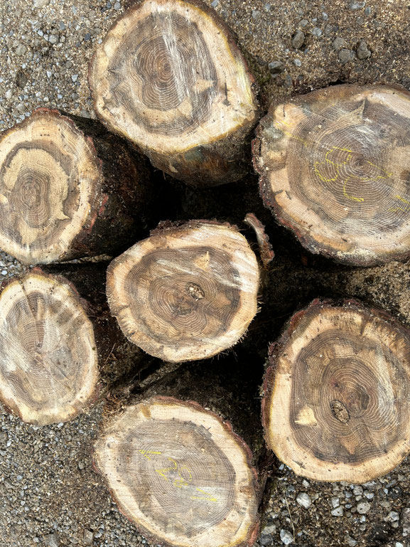 広葉樹薪　1カゴ（約１㎥） 広葉樹薪 1カゴ（約1㎥）