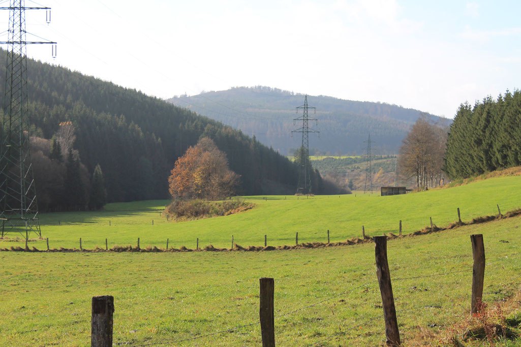 Eiszeitliche Geländeformation in der Trufte