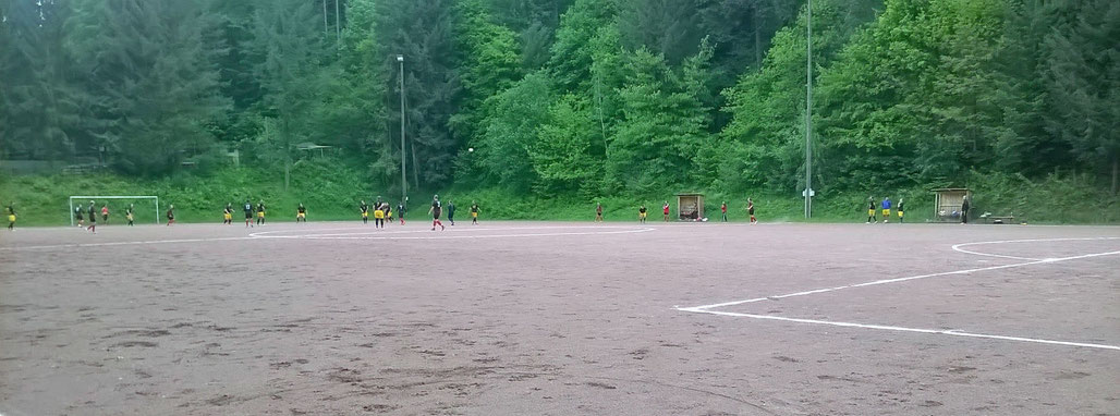 Waldstadion Trier