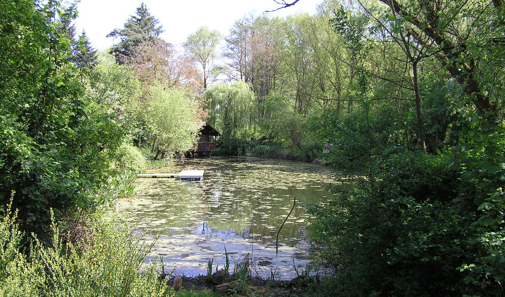 Der namensgebende  Weiher am Weihergrundstück