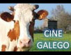 Cine Galego