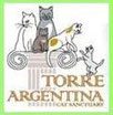 Gatti di Torre Argentina - Tarologia e Psiche