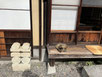2025/11 PHOTO