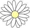 Camomilla
