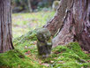 le temple sanzen in guide francophone prive au japon