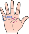 結婚はできましか？